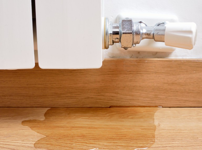 Signs You Might Have a Hidden Leak