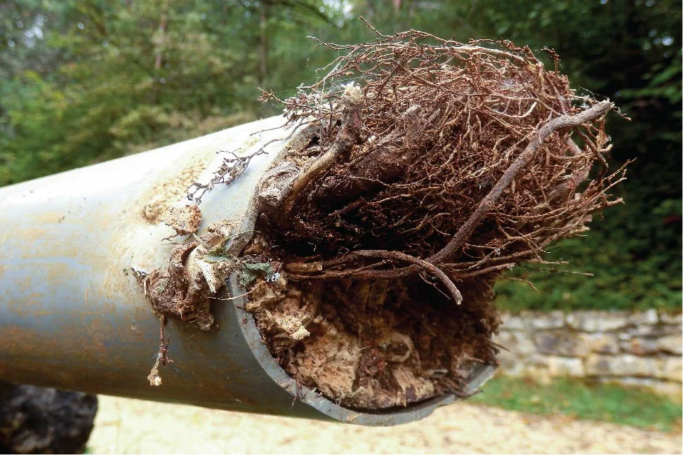Sewer Line Clog