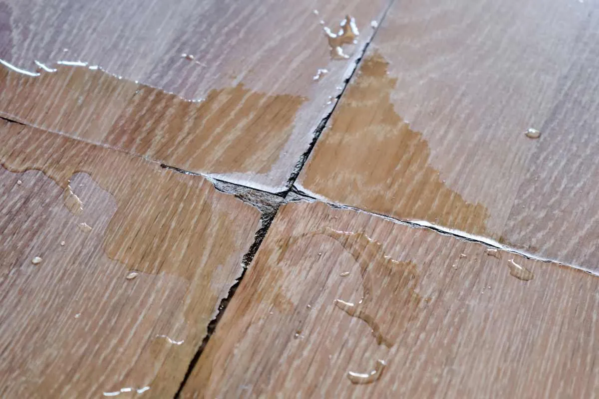 Damp Floors or Moisture Issues